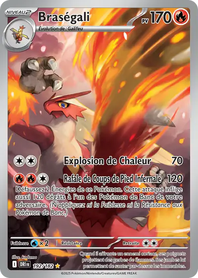 Image de la carte Pokemon Braségali 192/182