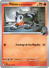 Image de la carte Malosse de la Team Rocket 037/182