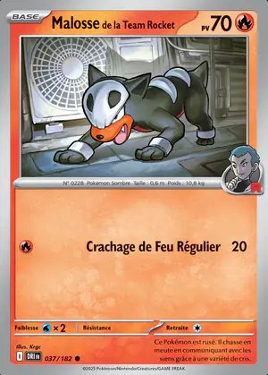 Malosse de la Team Rocket 037/182
