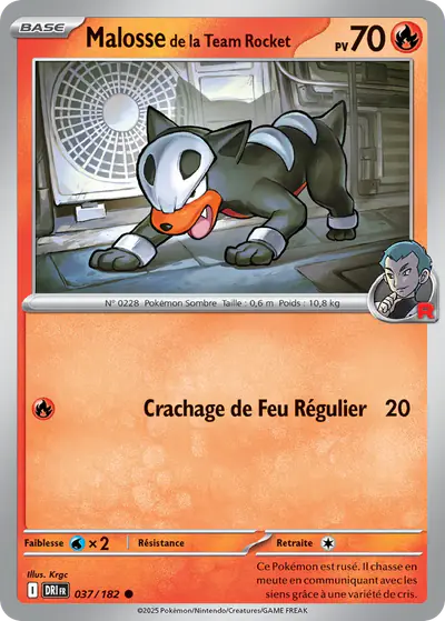 Image de la carte Pokemon Malosse de la Team Rocket 037/182