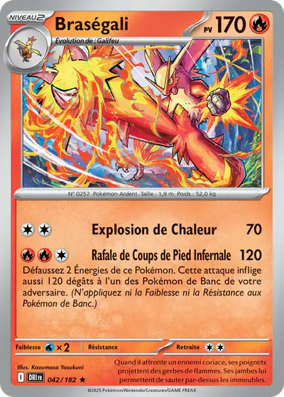 Image de la carte Pokemon Braségali 042/182