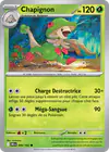 Image de la carte Chapignon 006/182
