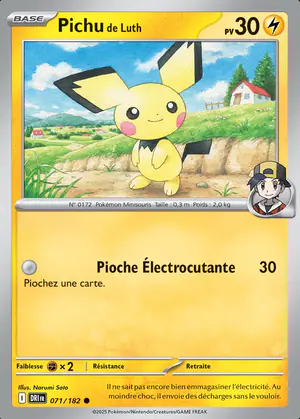 Pichu de Luth 071/182