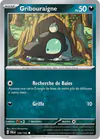 Image de la carte Gribouraigne 144/193