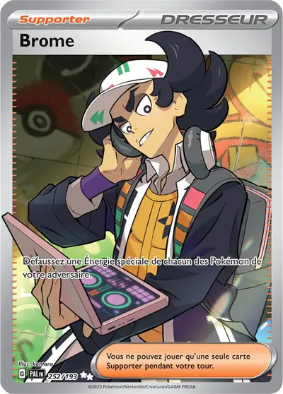 Image de la carte Pokemon Brome 252/193