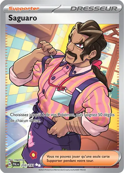 Image de la carte Pokemon Saguaro 255/193