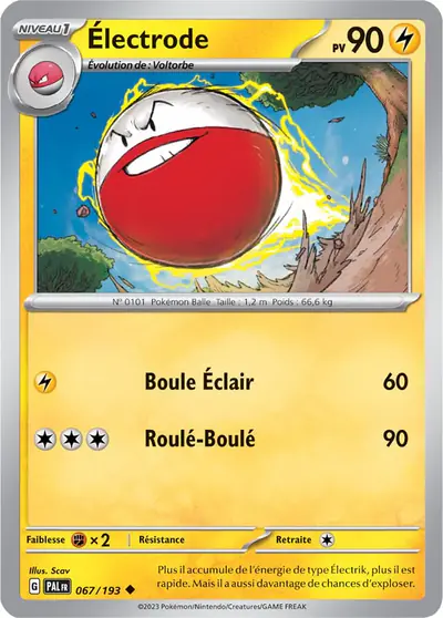 Image de la carte Pokemon Électrode 067/193