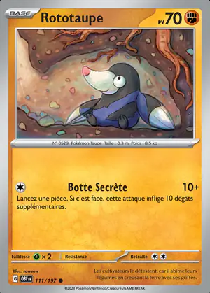 Rototaupe 111/197