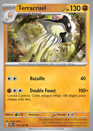 Terracruel 119/197