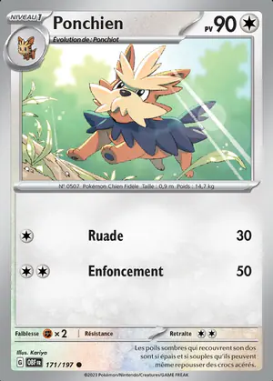 Ponchien 171/197