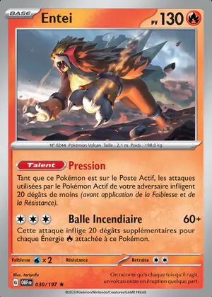 Entei 030/197