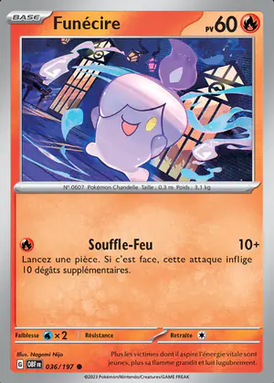 Fun&eacute;cire 036/197
