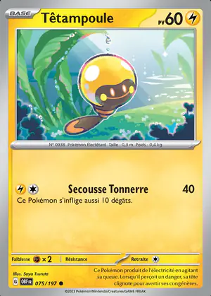 T&ecirc;tampoule 075/197