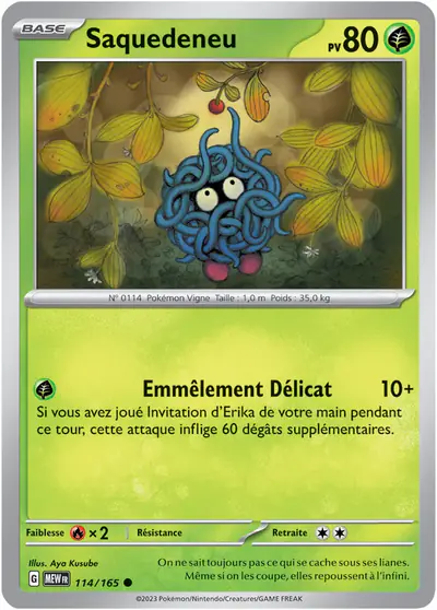 Image de la carte Pokemon Saquedeneu 114/165