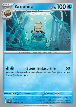 Amonita 138/165