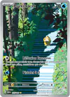 Image de la carte Psykokwak 175/165
