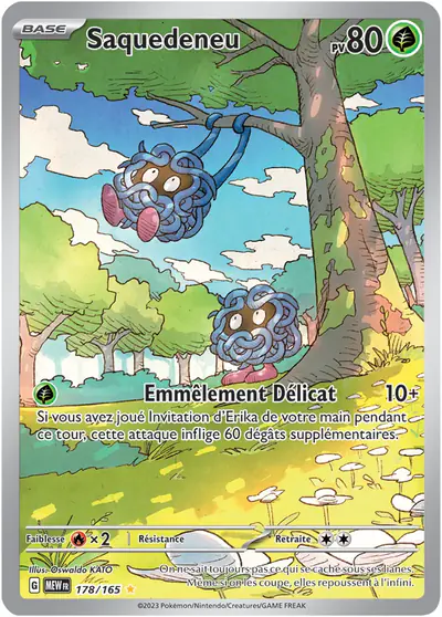 Image de la carte Pokemon Saquedeneu 178/165