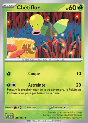 Ch&eacute;tiflor 069/165