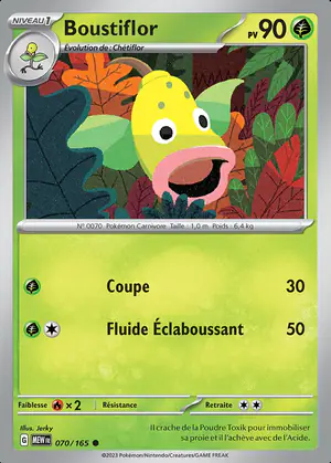 Boustiflor 070/165