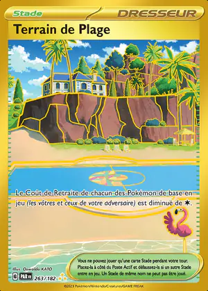Terrain de Plage 263/182