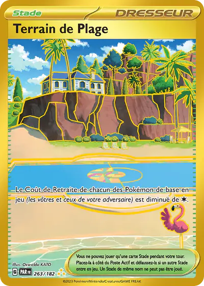 Image de la carte Pokemon Terrain de Plage 263/182