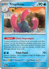 Image de la carte Triopikeau 053/182
