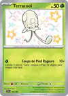 Image de la carte Terracool 105/091