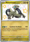 Image de la carte Motorizard 195/091