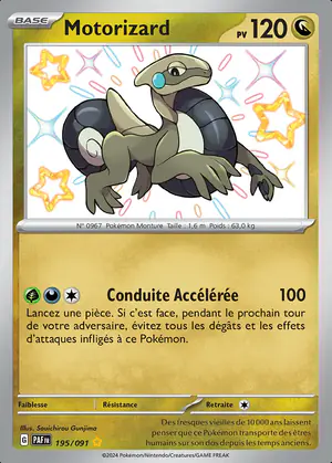 Motorizard 195/091