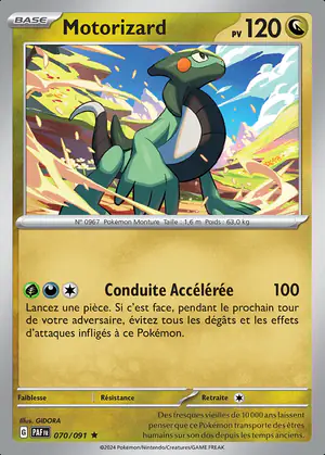 Motorizard 070/091