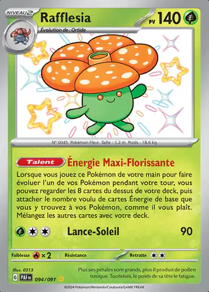 Rafflesia 094/091