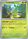 Image de la carte Tortipouss 010/162