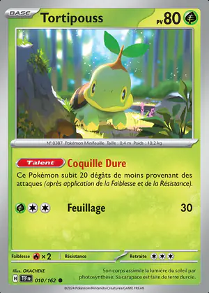 Tortipouss 010/162