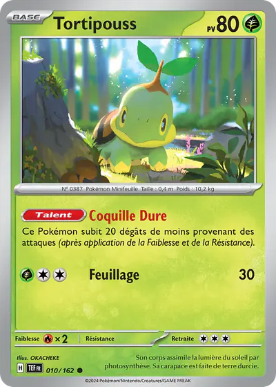 Image de la carte Pokemon Tortipouss 010/162