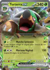 Image de la carte Torterra ex 012/162