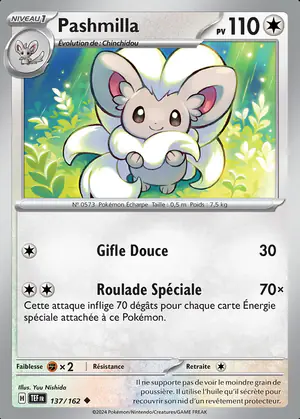 Pashmilla 137/162