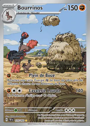 Bourrinos 175/162
