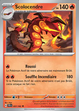 Scolocendre 037/162