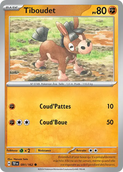 Image de la carte Pokemon Tiboudet 091/162