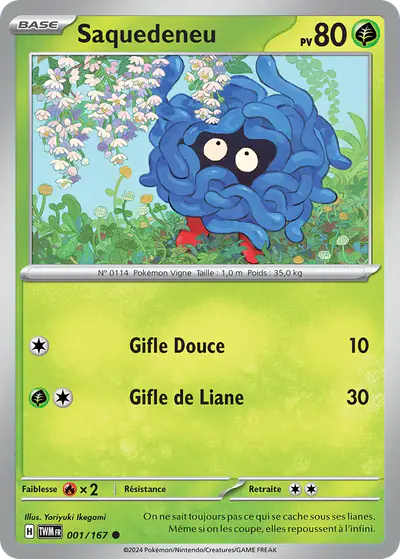 Image de la carte Pokemon Saquedeneu 001/167