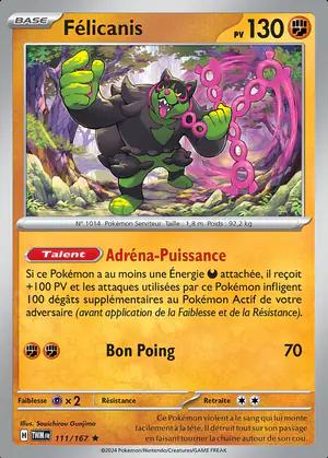 F&eacute;licanis 111/167
