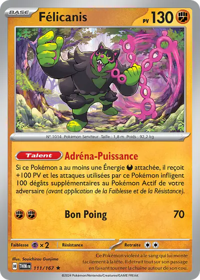 Image de la carte Pokemon Félicanis 111/167