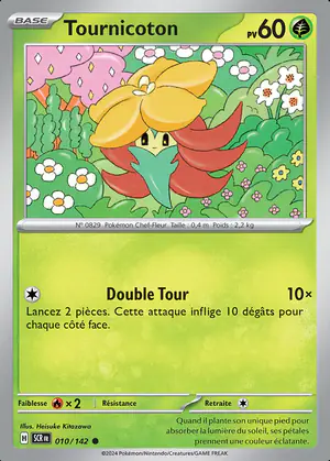 Tournicoton 010/142