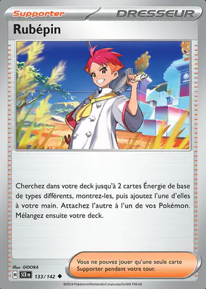 Rub&eacute;pin 133/142