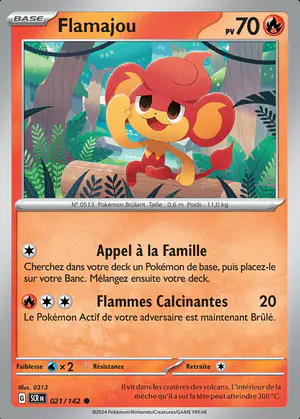 Flamajou 021/142