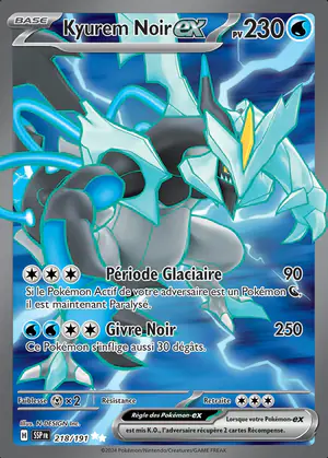 Kyurem Noir ex 218/191