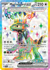 Image de la carte Motorizard ex 228/191
