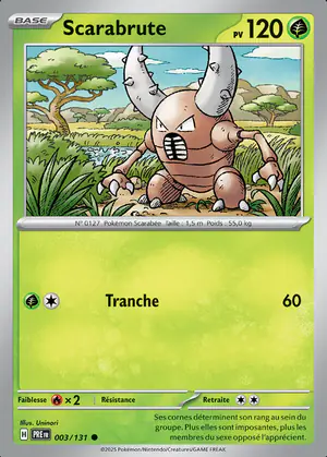 Scarabrute 003/131