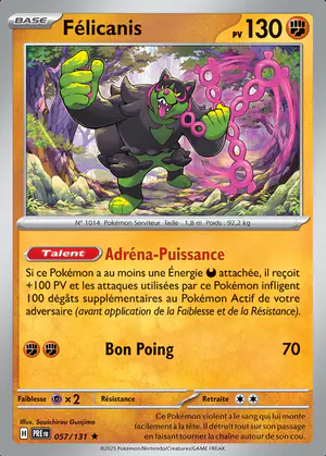 F&eacute;licanis 057/131