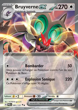 Bruyverne ex 091/131